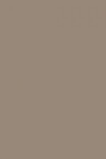 FARROW AND BALL CHARLESTON GRAY NO. 243 PAINT